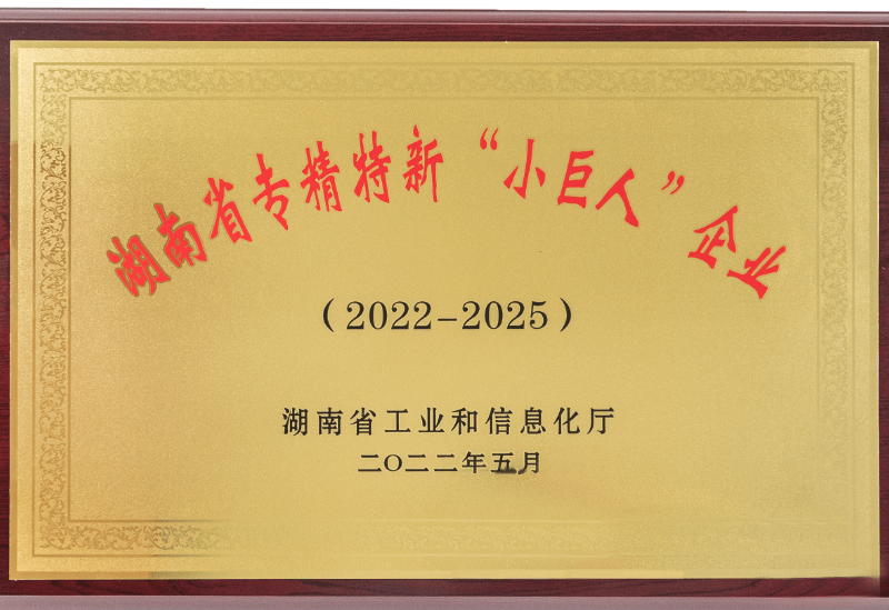 榮譽證書 小巨人.png